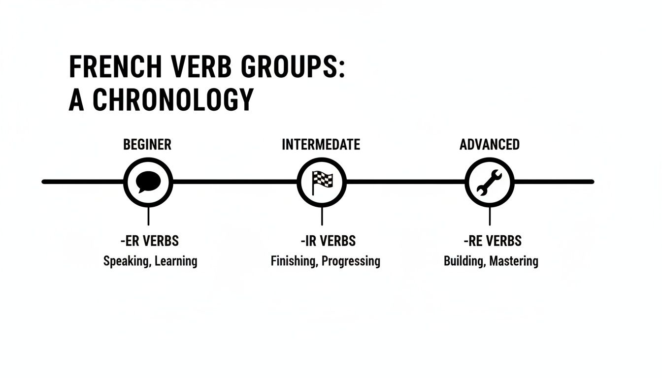Chronological guide to French verb groups: -ER (beginner), -IR (intermediate), and -RE (advanced) verbs.
